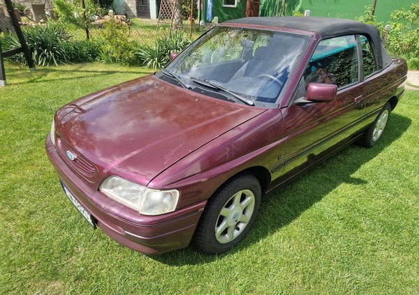 Ford Escort cena 3800 przebieg: 113150, rok produkcji 1993 z Golub-Dobrzyń małe 781